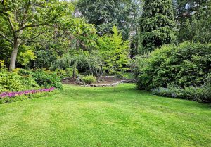 Optimiser l'expérience du jardin à Chateaubleau